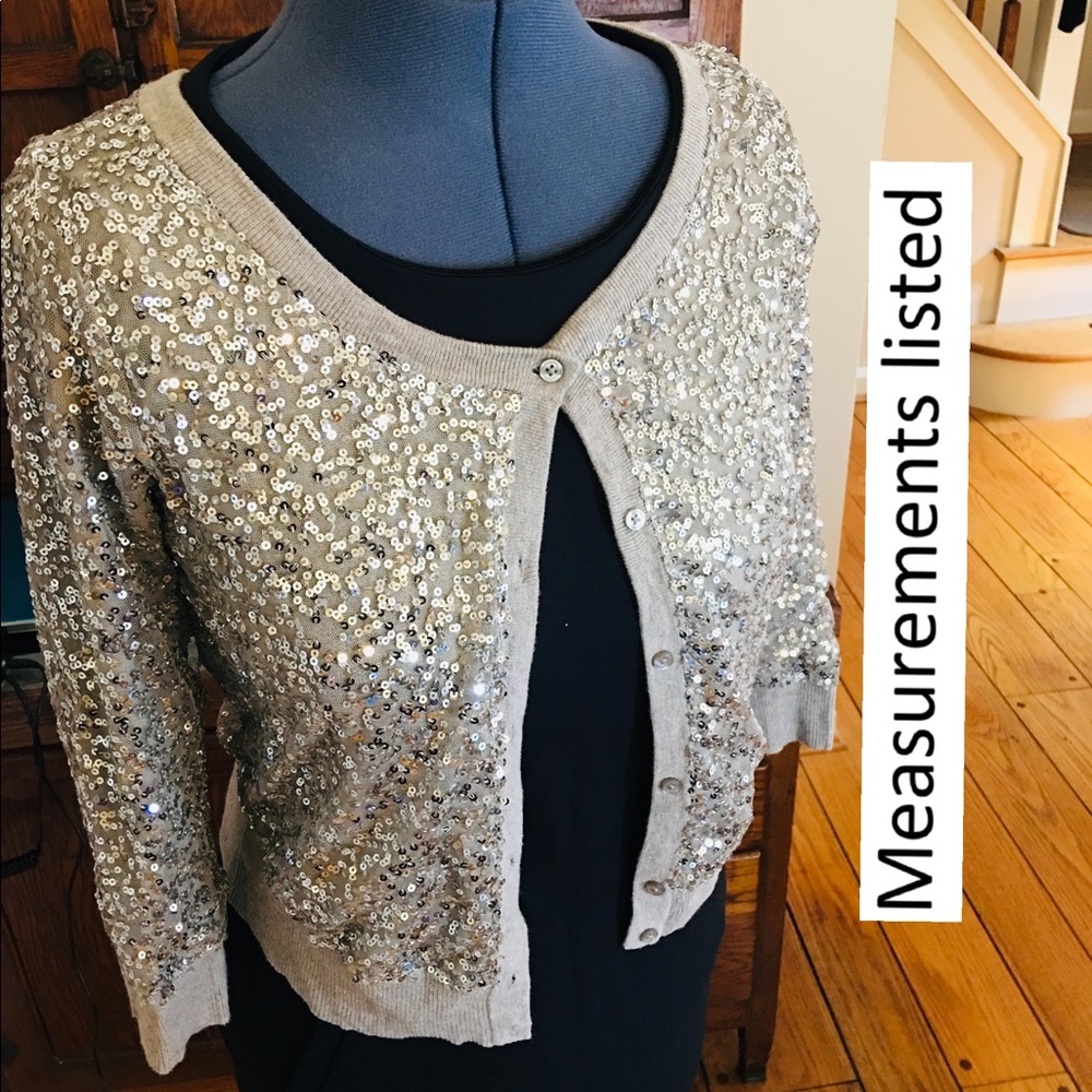 American eagle silver Sequined sweater